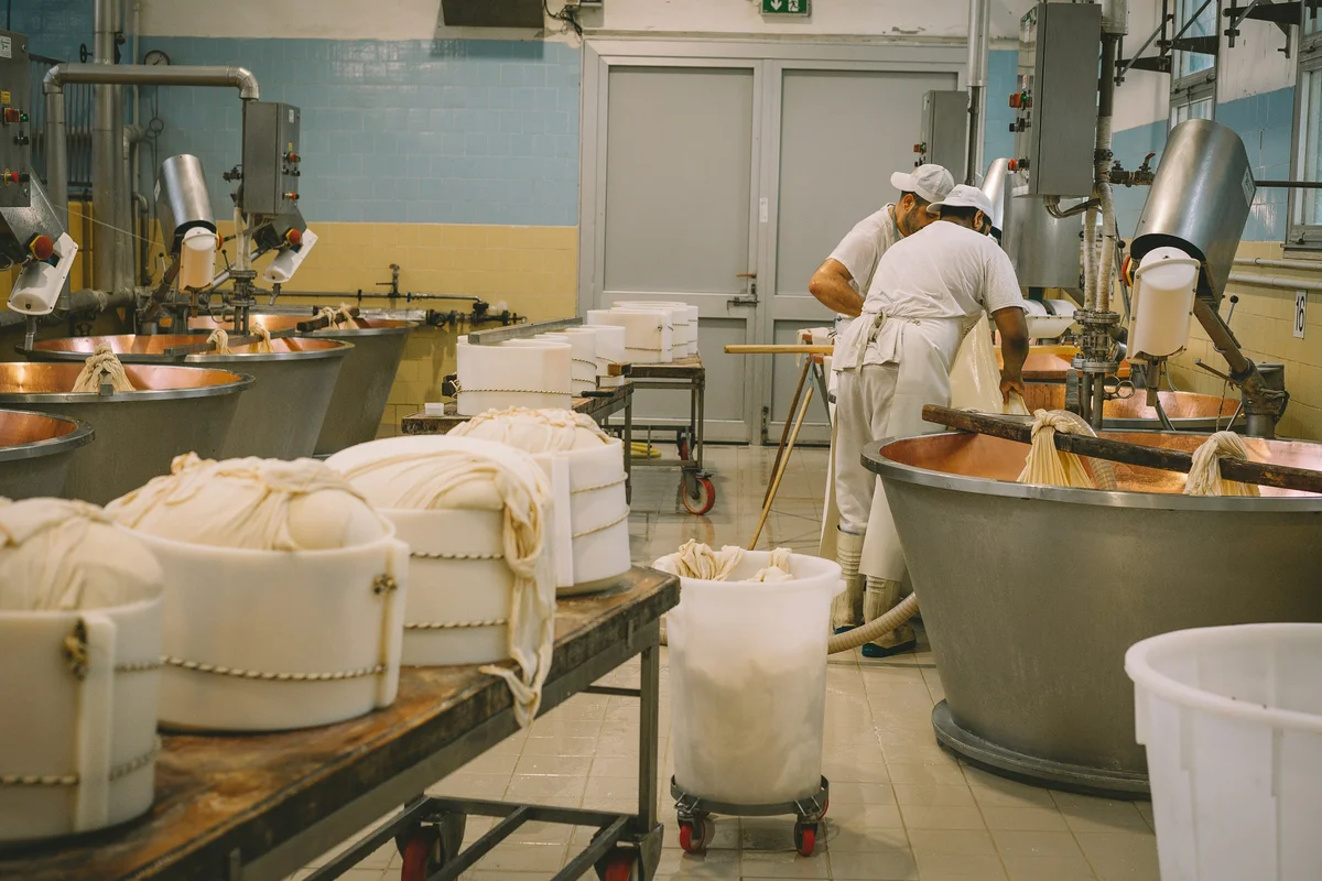 Commercial food production facility with industrial processing machinery
